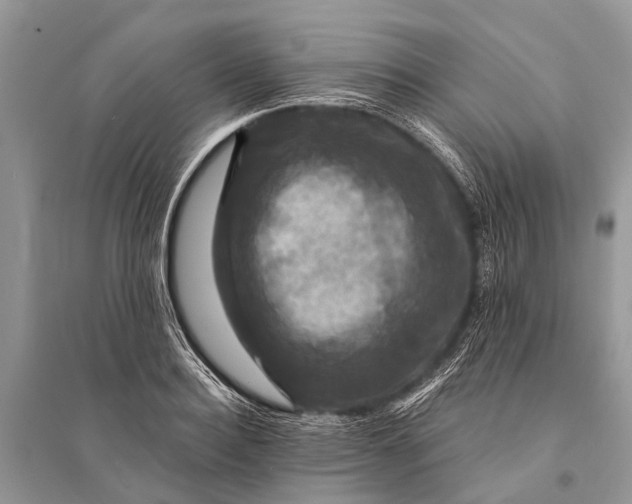 X0000094900940200712201131