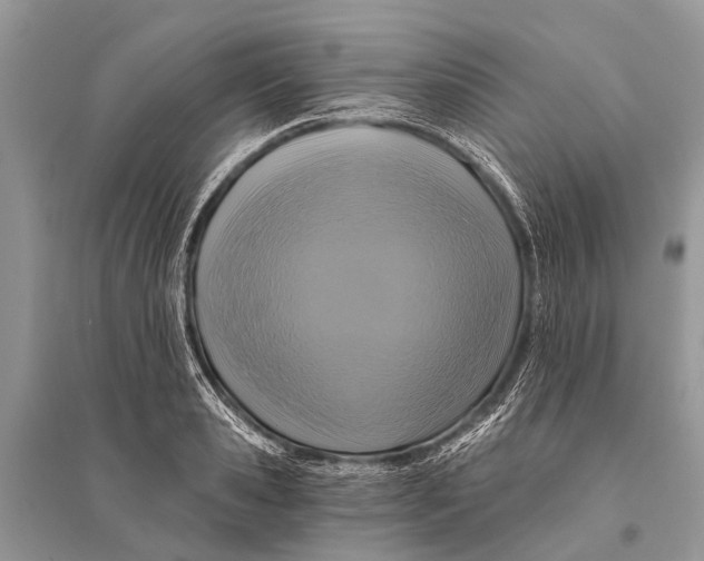 X0000094900941200712201131