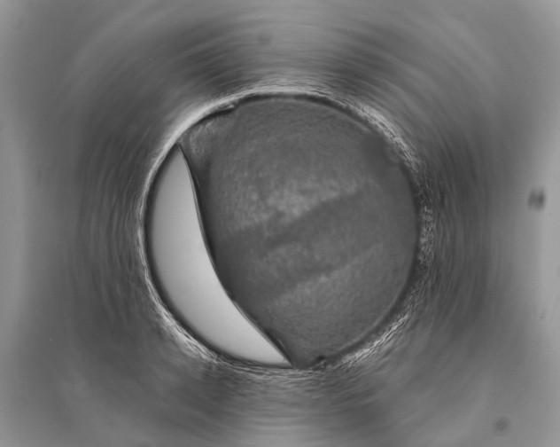 X0000094900942200712201131