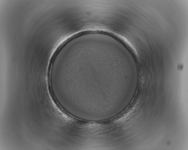 X0000094900943200712201131