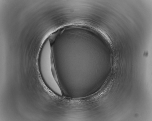 X0000094900944200712201131