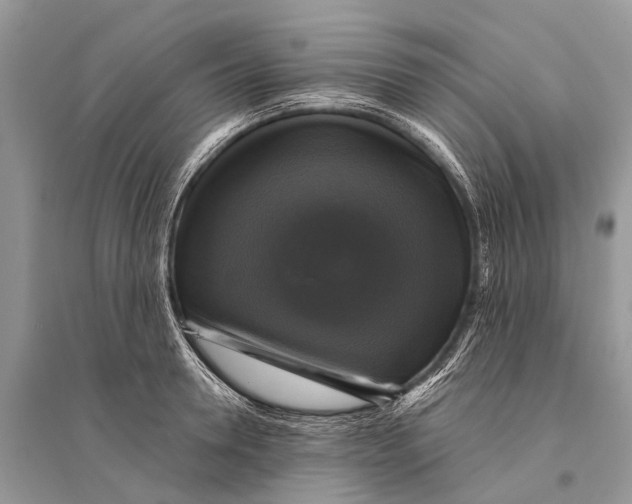 X0000094900946200712201131