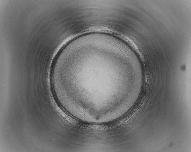 X0000094900947200712201131