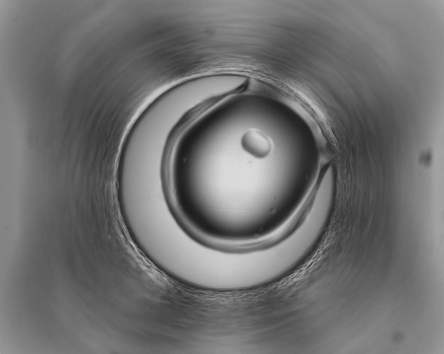 X0000094900948200712201131