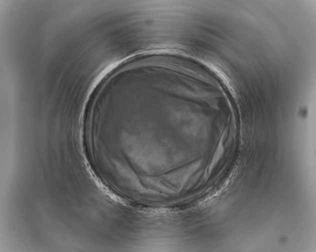 X0000094900949200712201131