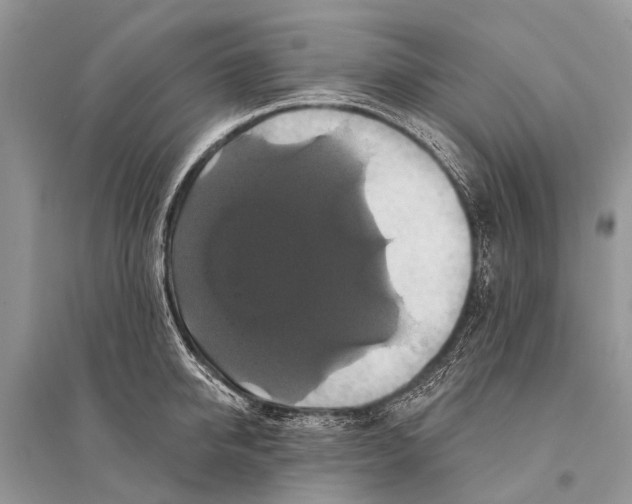 X0000094900950200712201131