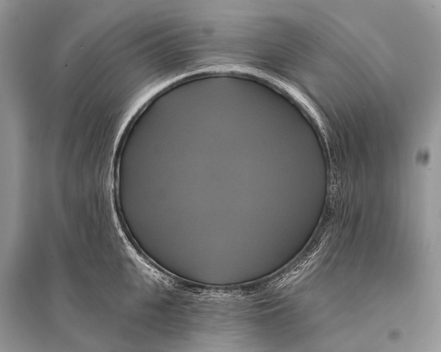 X0000094900951200712201131