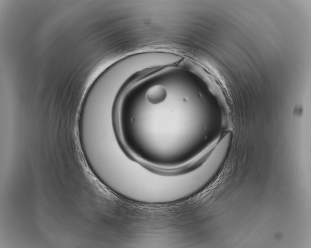 X0000094900952200712201131