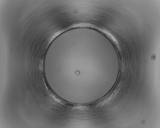 X0000094900953200712201131