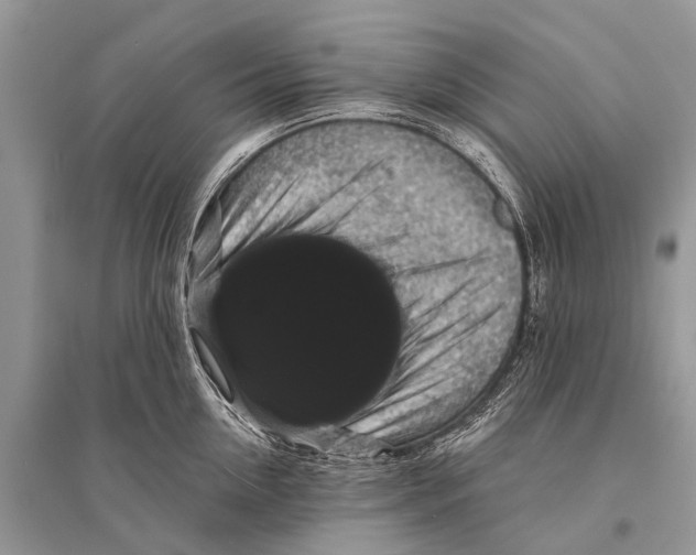 X0000094900954200712201131