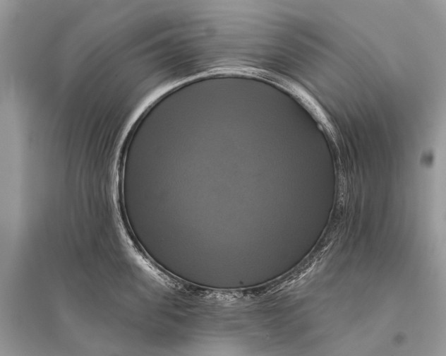 X0000094900955200712201131