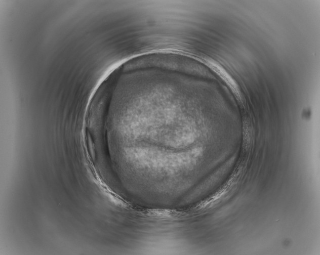 X0000094900956200712201131