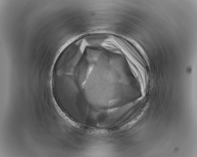 X0000094900957200712201131