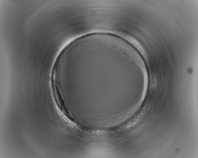 X0000094900958200712201131