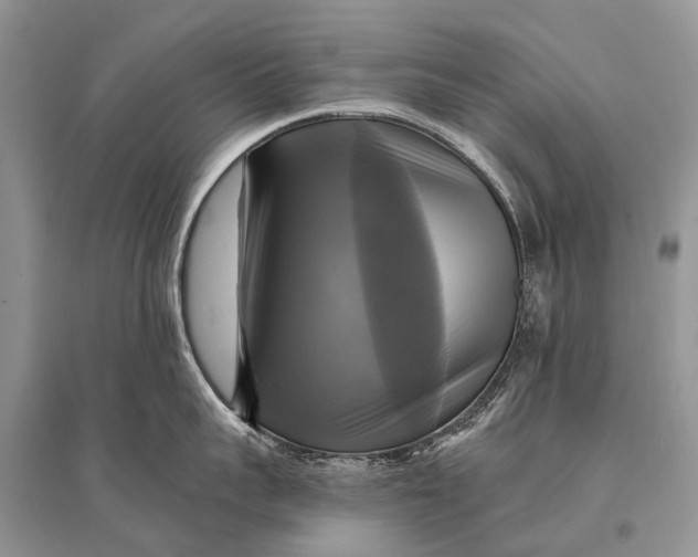 X0000094900959200712201131