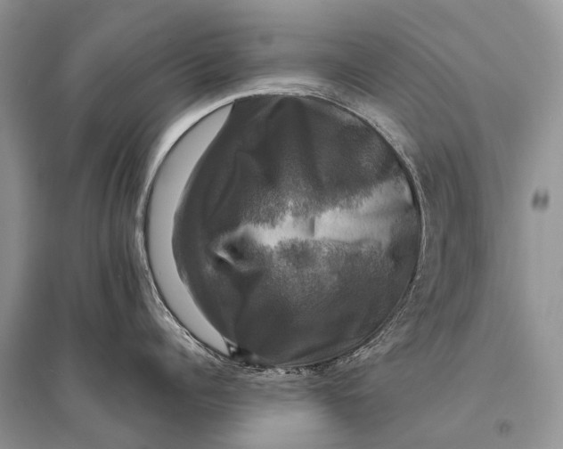 X0000094900960200712201131