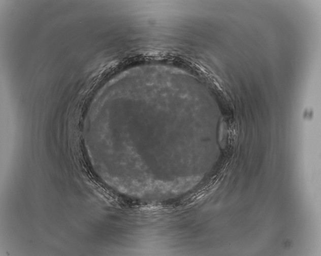 X0000094900961200712201131