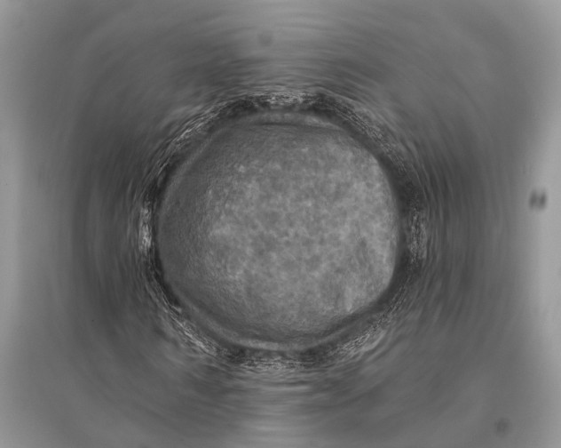 X0000094900962200712201131