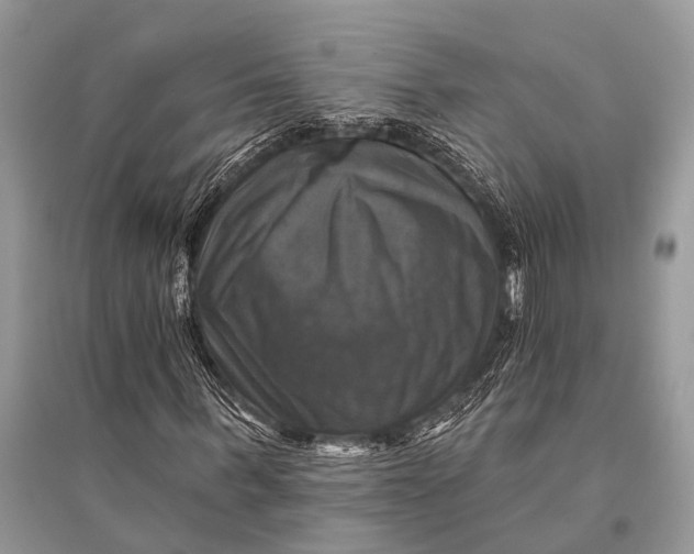 X0000094900963200712201131