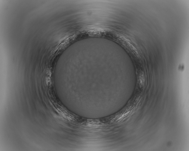 X0000094900964200712201131