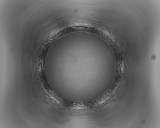 X0000094900965200712201131