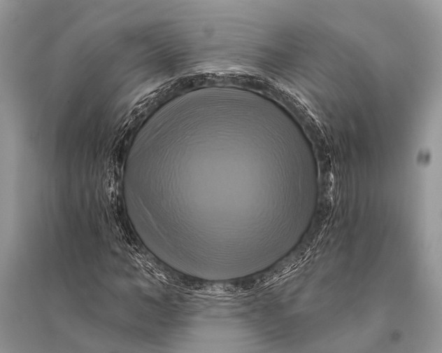 X0000094900966200712201131