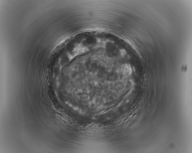 X0000094900967200712201131