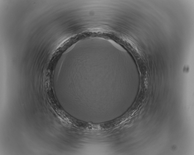 X0000094900968200712201131