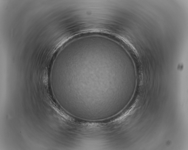 X0000094900969200712201131