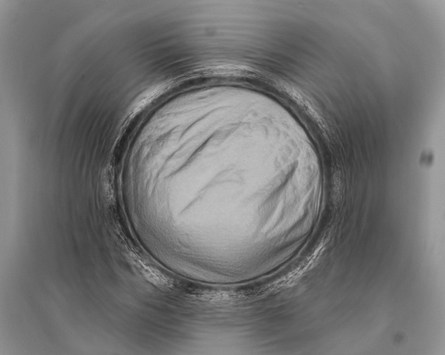 X0000094900970200712201131