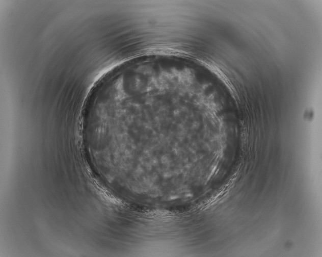 X0000094900971200712201131