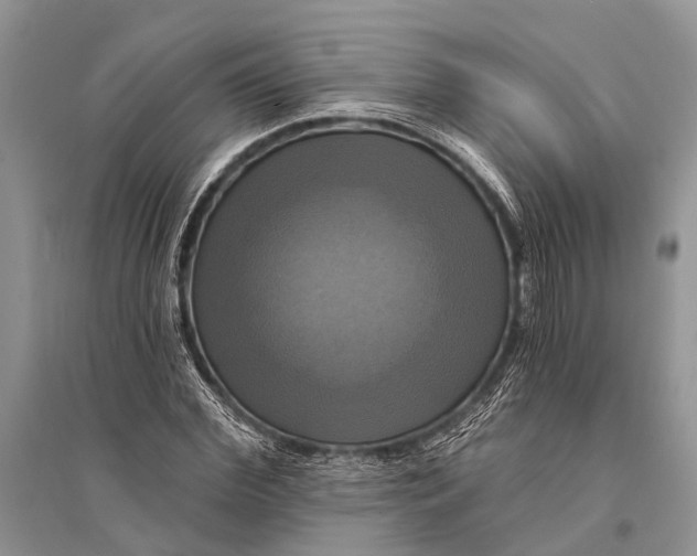 X0000094900972200712201131