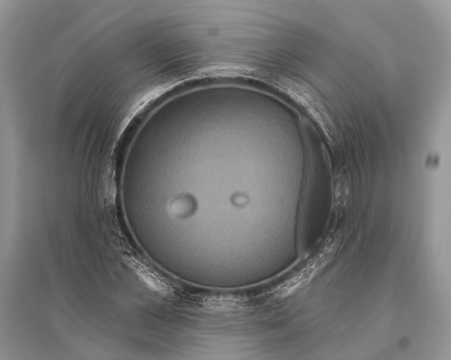 X0000094900973200712201131