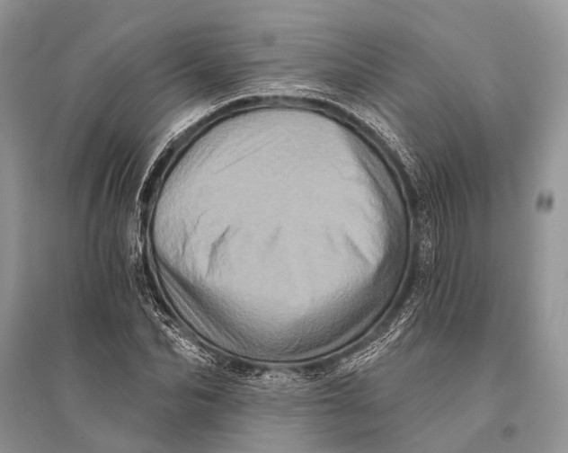 X0000094900974200712201131