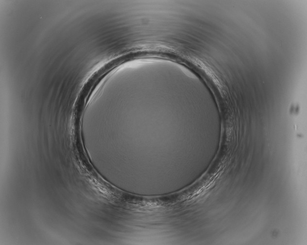 X0000094900975200712201131