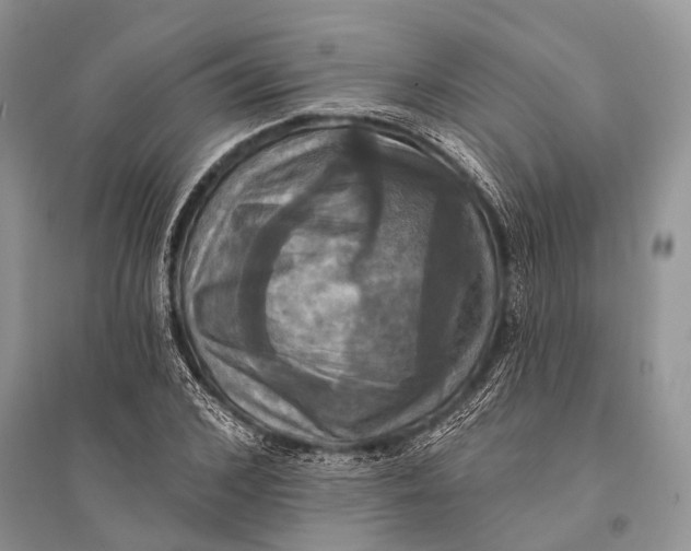 X0000094900976200712201131