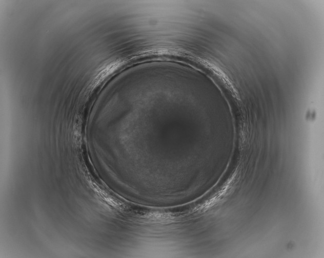 X0000094900977200712201130