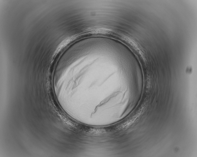 X0000094900978200712201130