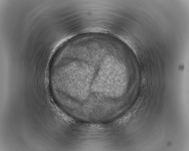 X0000094900979200712201130