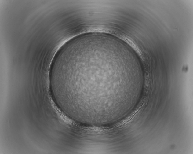 X0000094900980200712201130