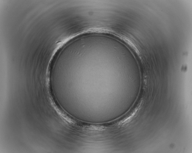 X0000094900981200712201130