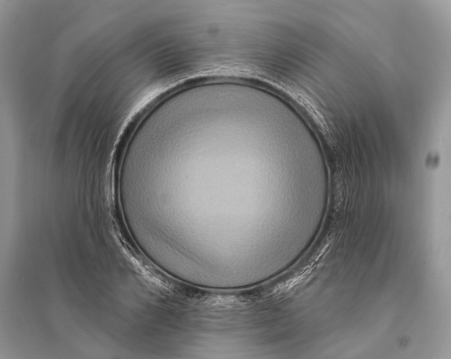 X0000094900982200712201130