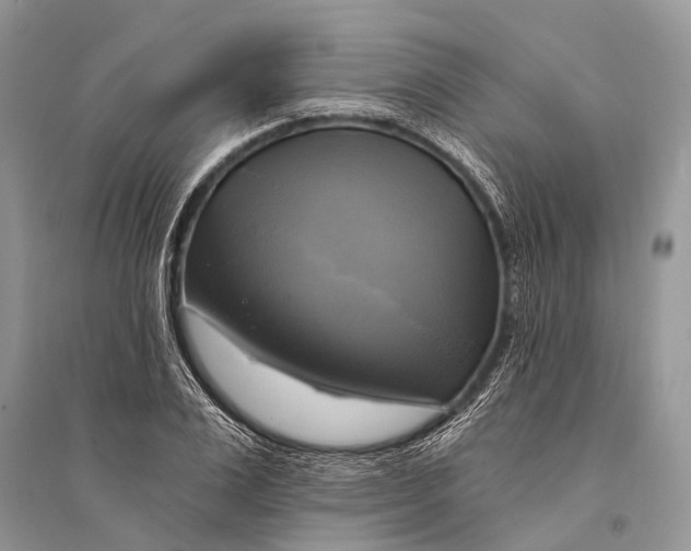 X0000094900983200712201130