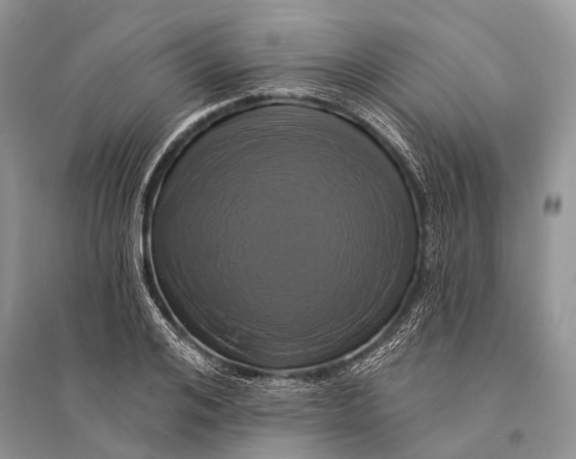 X0000094900984200712201130