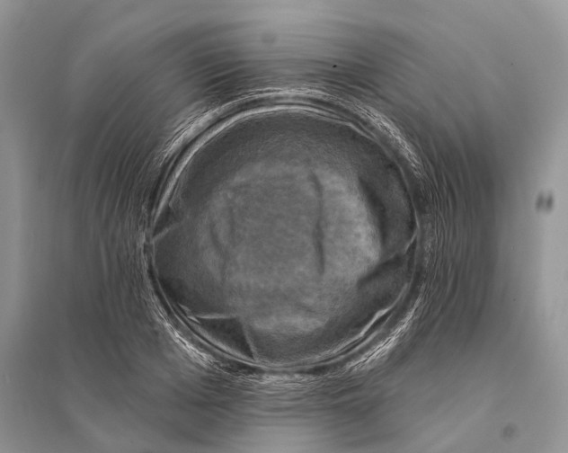 X0000094900985200712201130