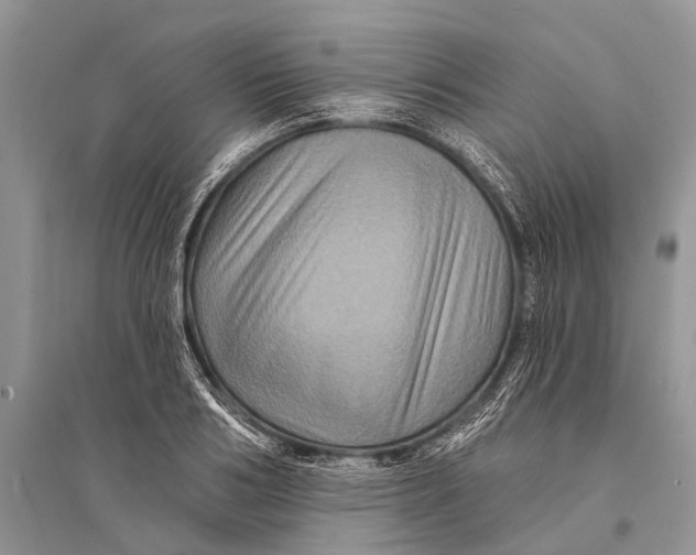 X0000094900986200712201130