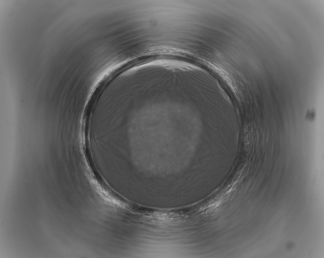 X0000094900987200712201130