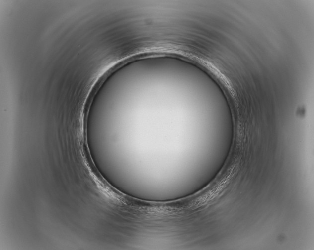 X0000094900988200712201130