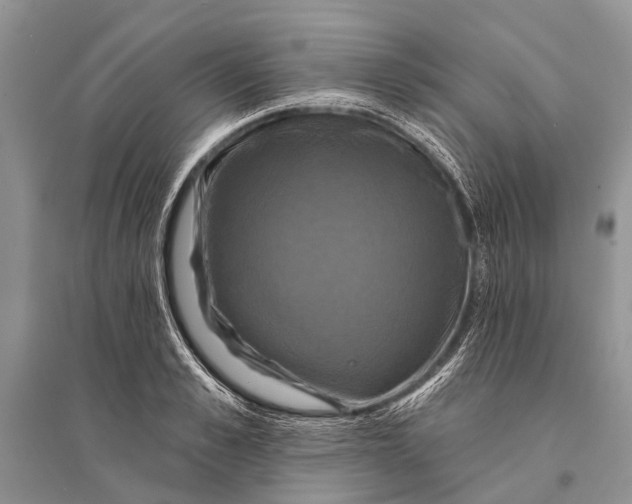 X0000094900989200712201130