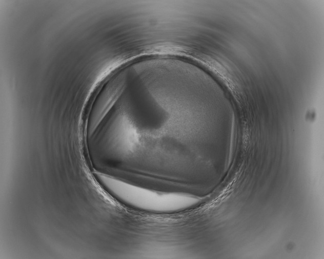 X0000094900990200712201130